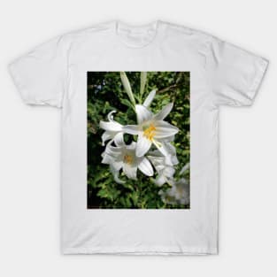 White Lily T-Shirt